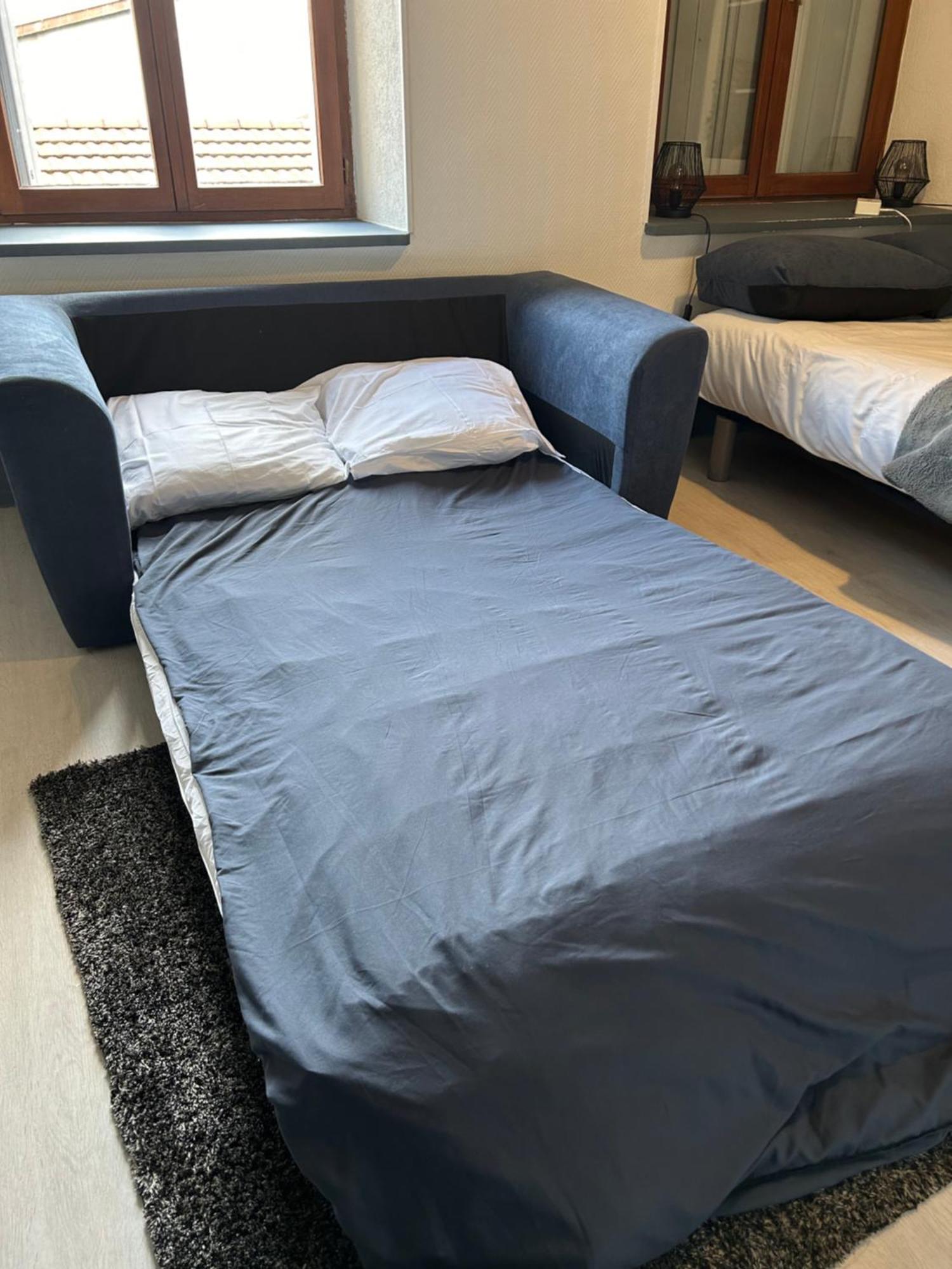 Studio De 30M² Hypercentre Tres Calme Montbéliard Exteriör bild