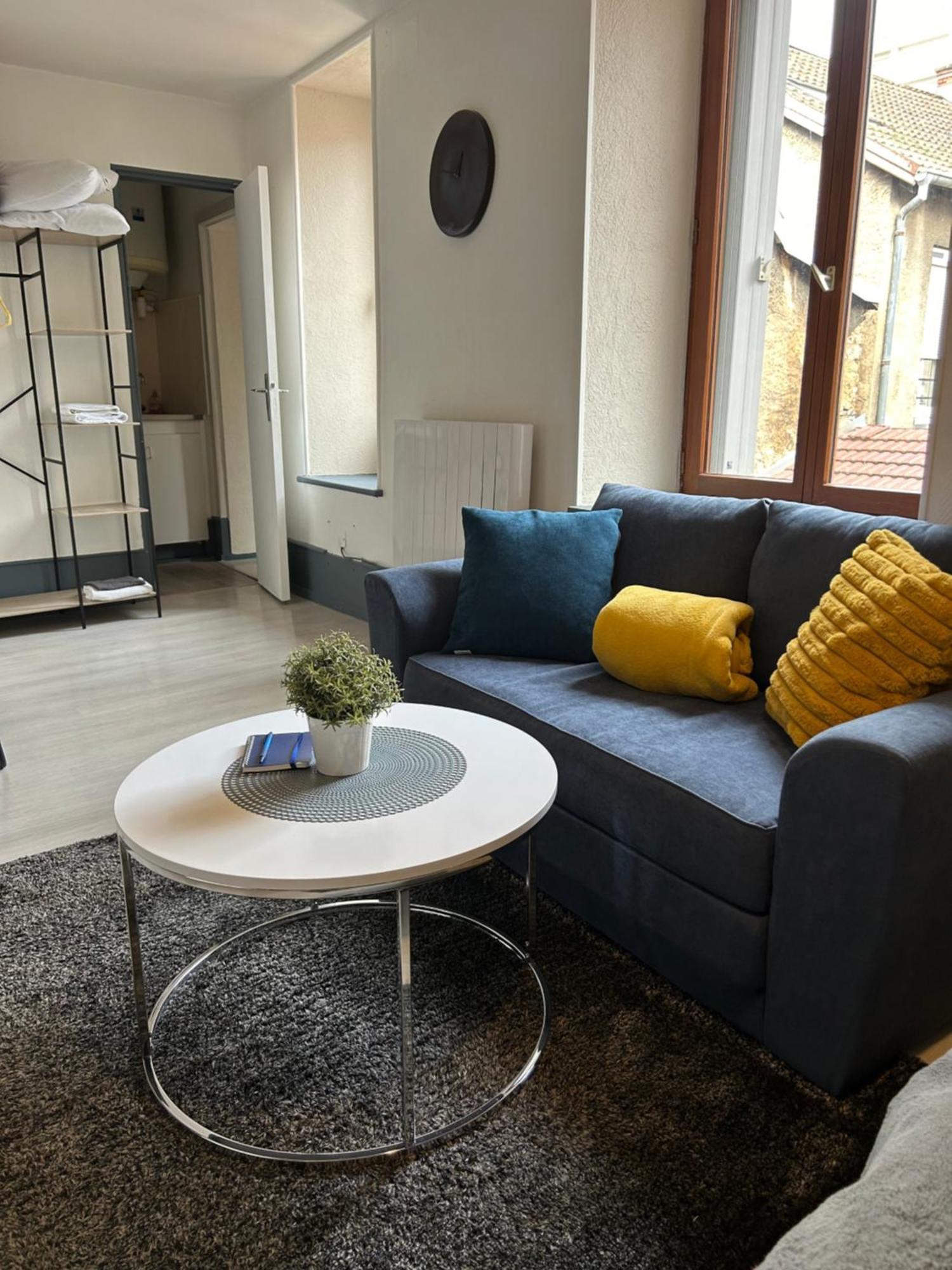 Studio De 30M² Hypercentre Tres Calme Montbéliard Exteriör bild